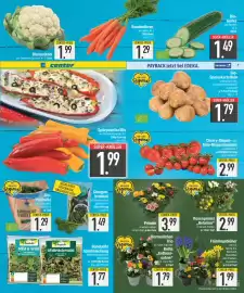 E-Center Prospekt Seite 3