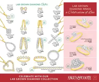 Angus & Coote catalogue Page 3