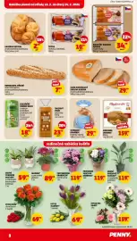 Penny Market leták týden 8 Strana 3