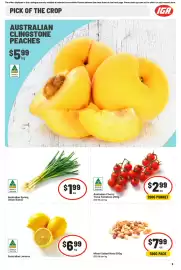 IGA catalogue week 8 Page 6