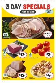 IGA catalogue Page 1
