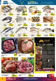 Al Hoot catalogue Page 3