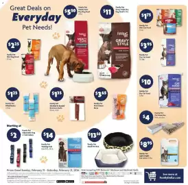 Family Dollar weekly ad week 8 Page 11