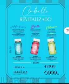 Catálogo Violetta Fabiani Página 13