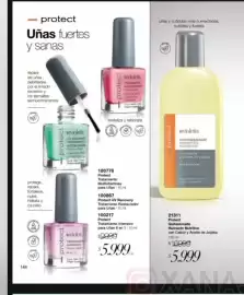 Catálogo Violetta Fabiani Página 144