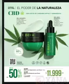 Catálogo Violetta Fabiani Página 146