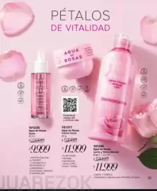 Catálogo Violetta Fabiani Página 33