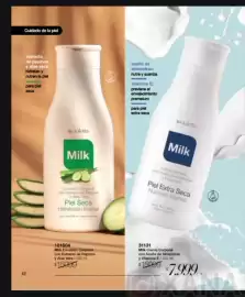 Catálogo Violetta Fabiani Página 42