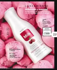 Catálogo Violetta Fabiani Página 43