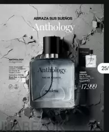 Catálogo Violetta Fabiani Página 49