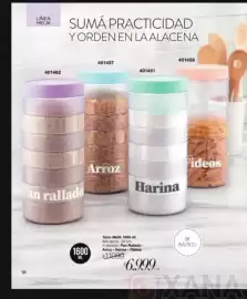 Catálogo Violetta Fabiani Página 94