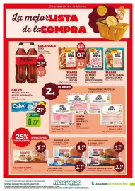 Folleto Masymas Página 7