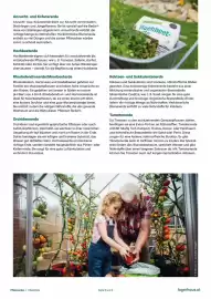 Lagerhaus Flugblatt Seite 5