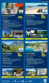 Lidl Flugblatt Seite 7