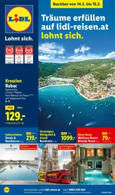 Lidl Flugblatt (gültig bis 15-03)