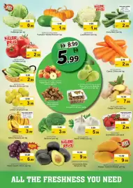 Nesto catalogue Page 2