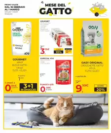 Volantino Arcaplanet Pagina 17