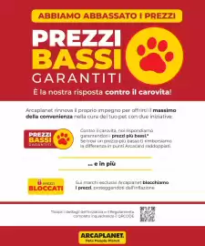 Volantino Arcaplanet Pagina 2