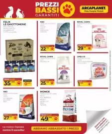 Volantino Arcaplanet Pagina 3