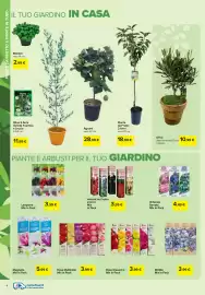Volantino Carrefour | giardinaggio Pagina 4