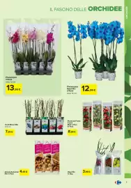 Volantino Carrefour | giardinaggio Pagina 5