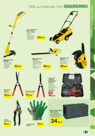 Volantino Carrefour | giardinaggio Pagina 9