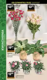 Delikatesy Centrum gazetka tydzień 8 Strona 38