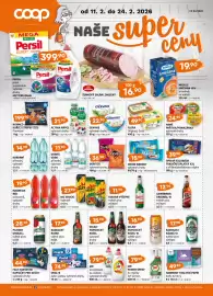 Terno leták týden 8 Strana 17