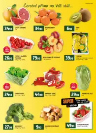 Terno leták týden 8 Strana 6