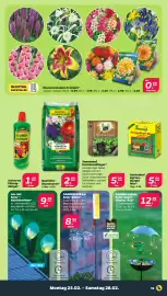 NETTO Prospekt woche 9 Seite 25