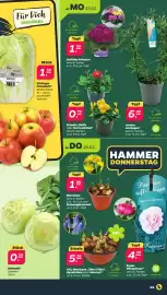 NETTO Prospekt woche 9 Seite 3