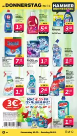 NETTO Prospekt woche 9 Seite 36