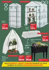 Kaufland leták týden 8 Strana 9