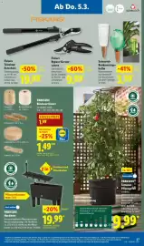 Lidl Prospekt woche 10 Seite 17