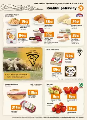 Terno leták (platné do 3-03)