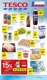 Tesco leták týden 8 Strana 1