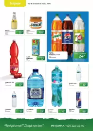 Tamda Foods leták týden 8 Strana 10