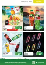 Tamda Foods leták týden 8 Strana 13