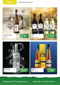 Tamda Foods leták týden 8 Strana 16