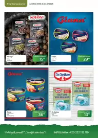 Tamda Foods leták týden 8 Strana 42