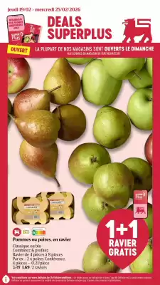 AD Delhaize folder (geldig t/m 25-02)