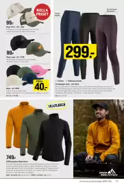 Engelsons katalog Sida 13