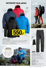 Engelsons katalog Sida 17