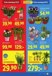 Lidl reklamblad vecka 9 Sida 20