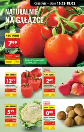 Biedronka gazetka tydzień 8 Strona 23