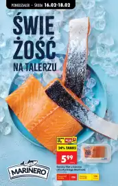 Biedronka gazetka tydzień 8 Strona 36