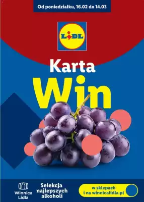 Lidl gazetka (wa偶no艣膰 do 14-03)