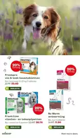 Welkoop folder Pagina 13