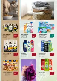 Dornseifer Prospekt woche 8 Seite 14