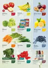 Dornseifer Prospekt woche 8 Seite 9